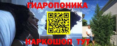 молекула духа Можга