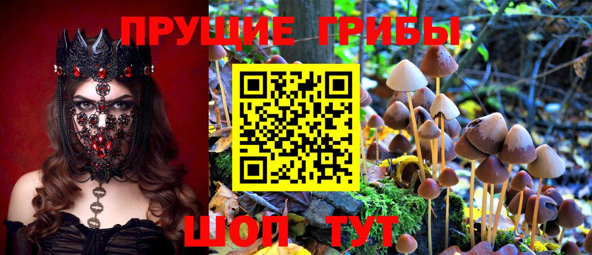 Галлюциногенные грибы Magic Shrooms  как найти закладки  Рузаевка  Вход с VPN  Галлюциногенные грибы GOLDEN TEACHER 